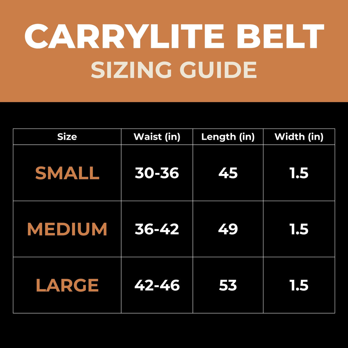 CarryLite Max, photo 7